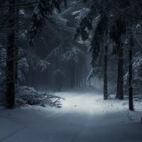 WHAT "DARK WINTER" REALLY MEANS---THE FUTURE ISN'T FOR SISSIES
